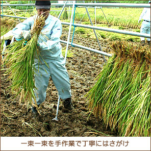 �͂�����1