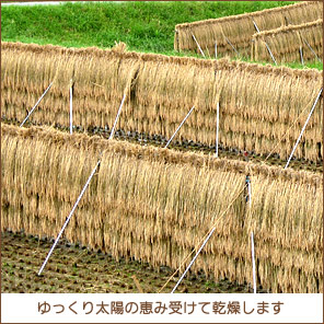 �͂�����2